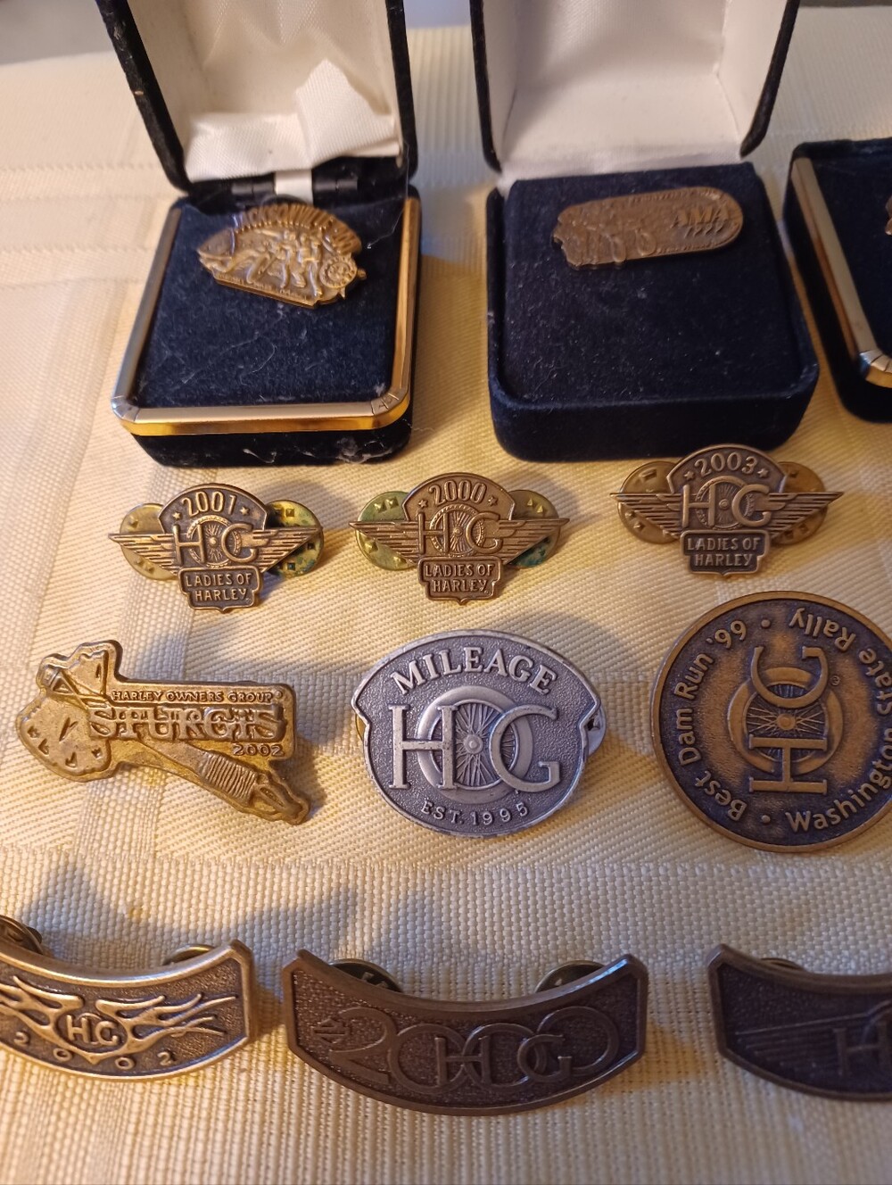 Vintage Harley Davidson Biker Pins